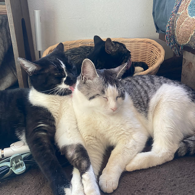 Aikoさんの実例写真