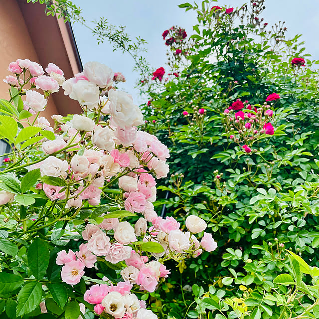 usaakoさんの部屋
