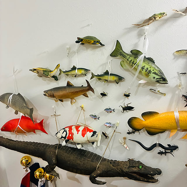 takakuzenさんの部屋