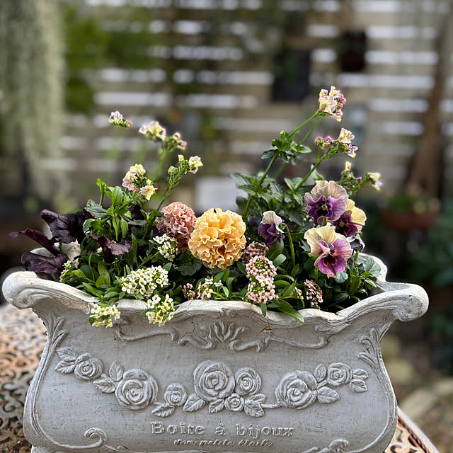 mameshibaさんの部屋