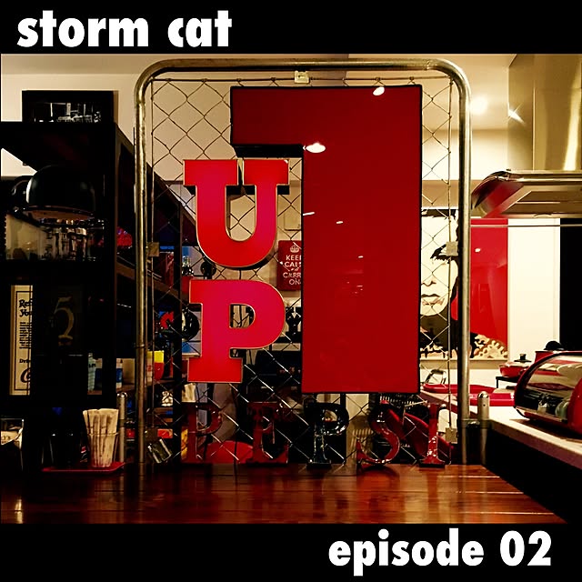 stormcatさんの実例写真
