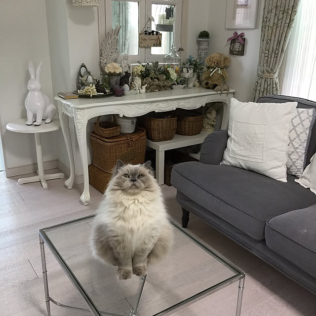 yuchiさんの実例写真