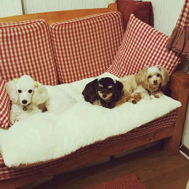 445Tさんの実例写真