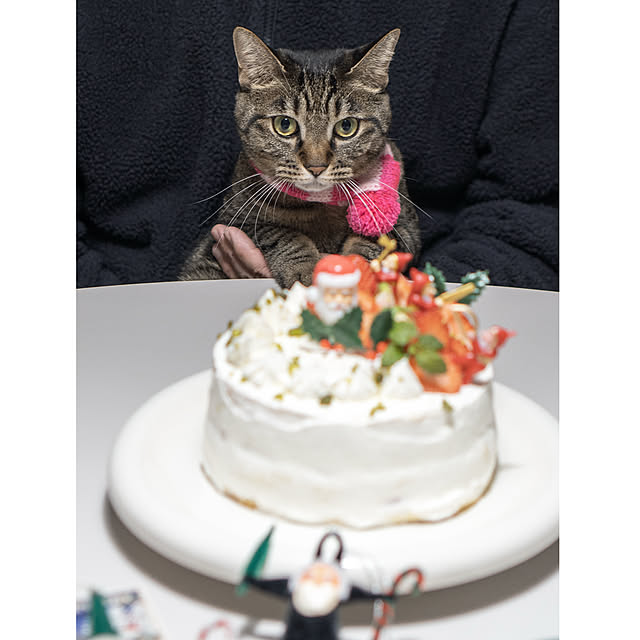 oliveさんの部屋