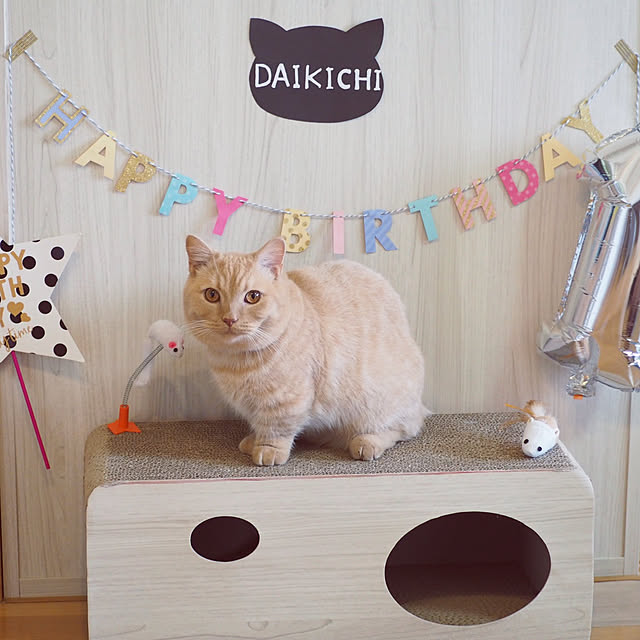 rilakkumamaさんの実例写真