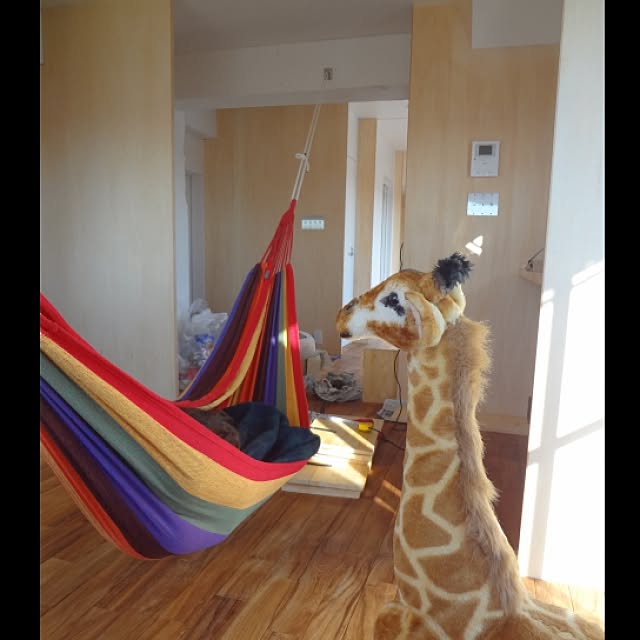 shiomiさんの実例写真