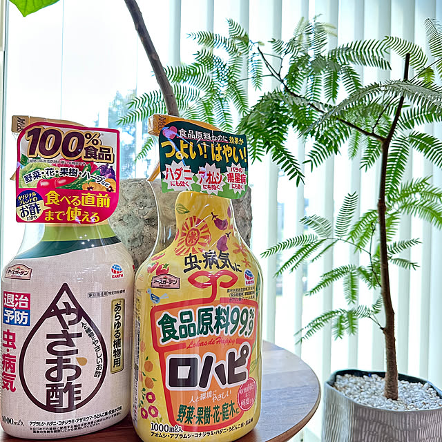Shiguさんの実例写真