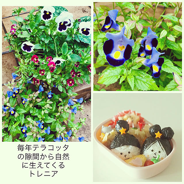 NAOさんの実例写真