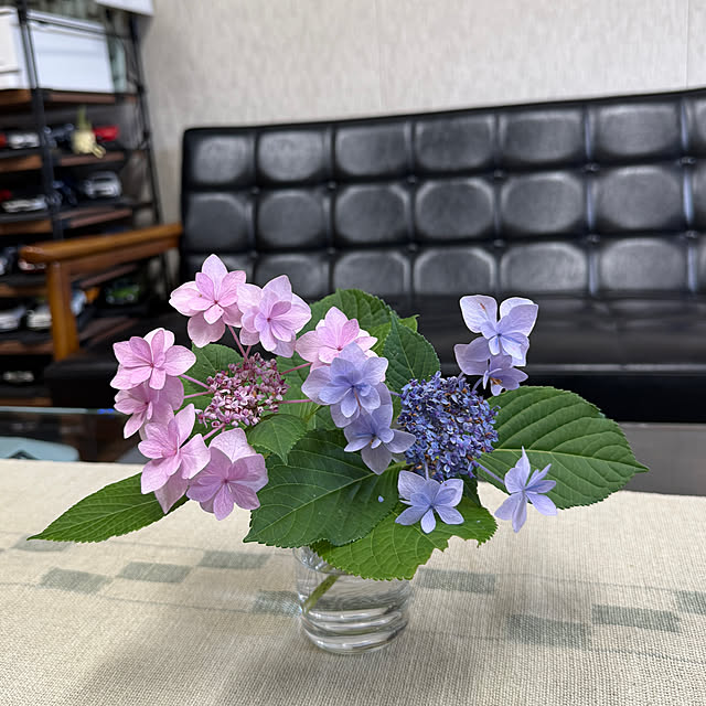 sakakenさんの実例写真