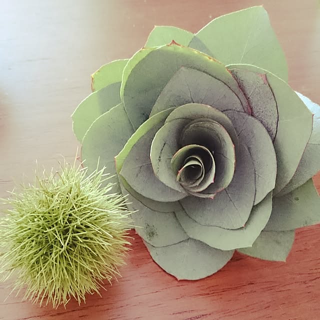 riemushiさんの実例写真