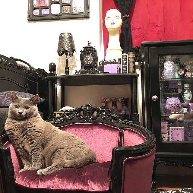 zundaさんの実例写真