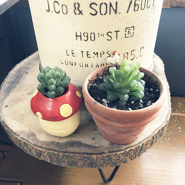 tenmaruさんの実例写真