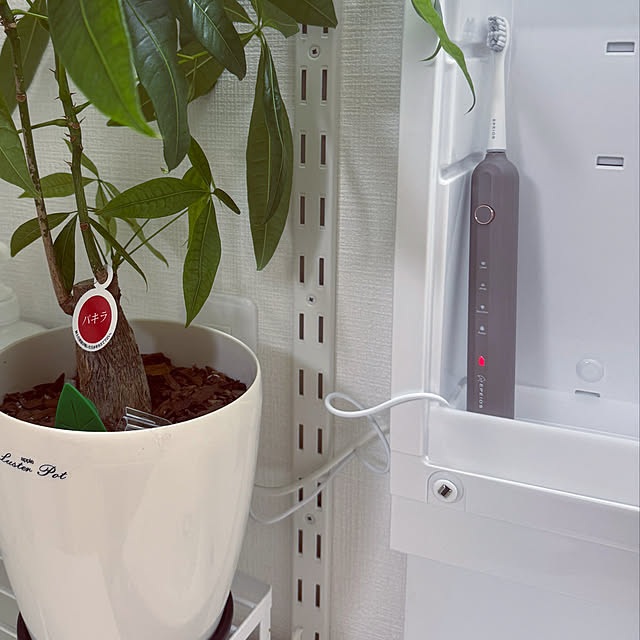 makoさんの実例写真