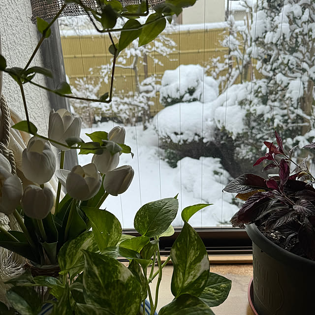 mamizaさんの実例写真