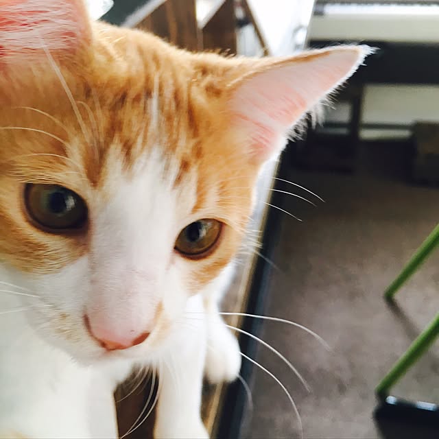 abcさんの実例写真