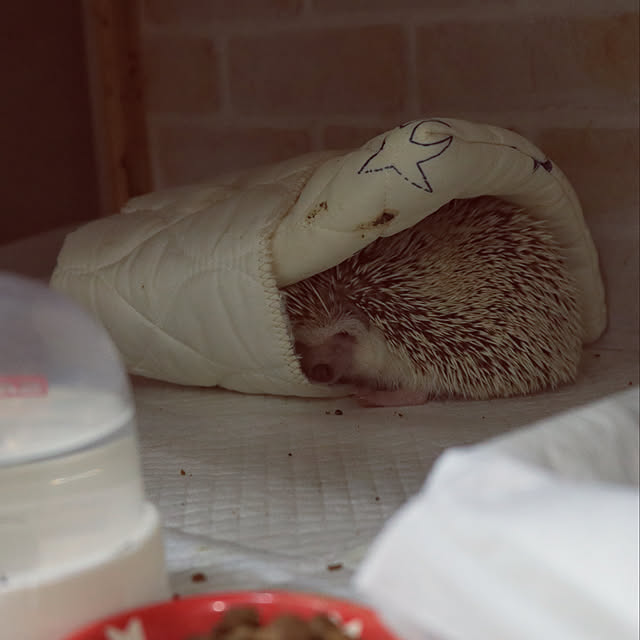Chikakoさんの実例写真