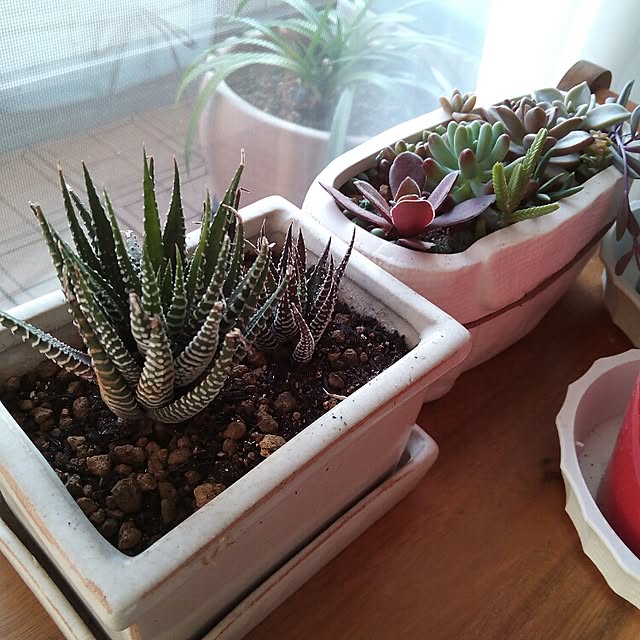 VERANDARJUNさんの実例写真