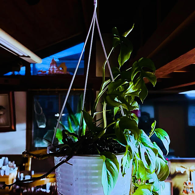 chacoさんの部屋