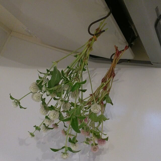 Ayamiさんの実例写真