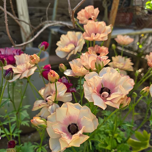 min_nimさんの部屋