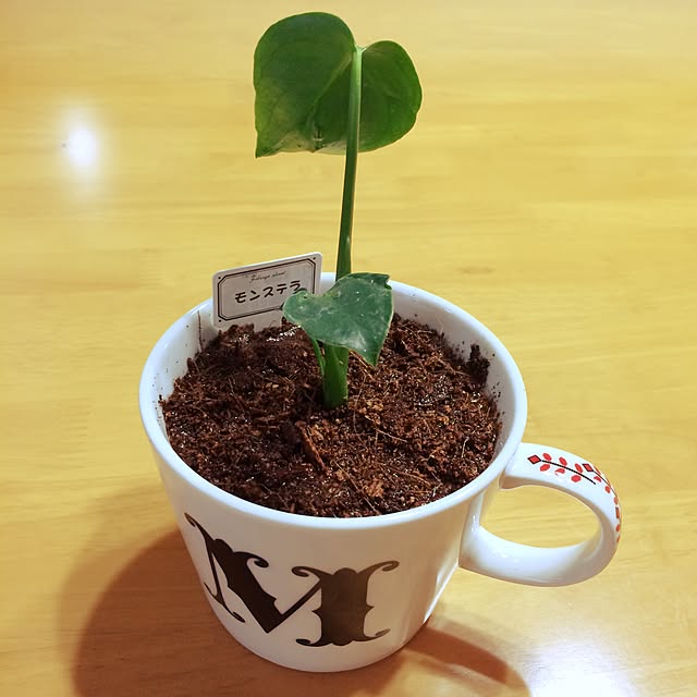 hmkaさんの実例写真