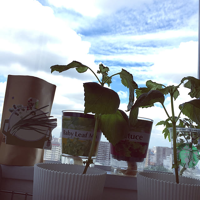 HKSさんの実例写真