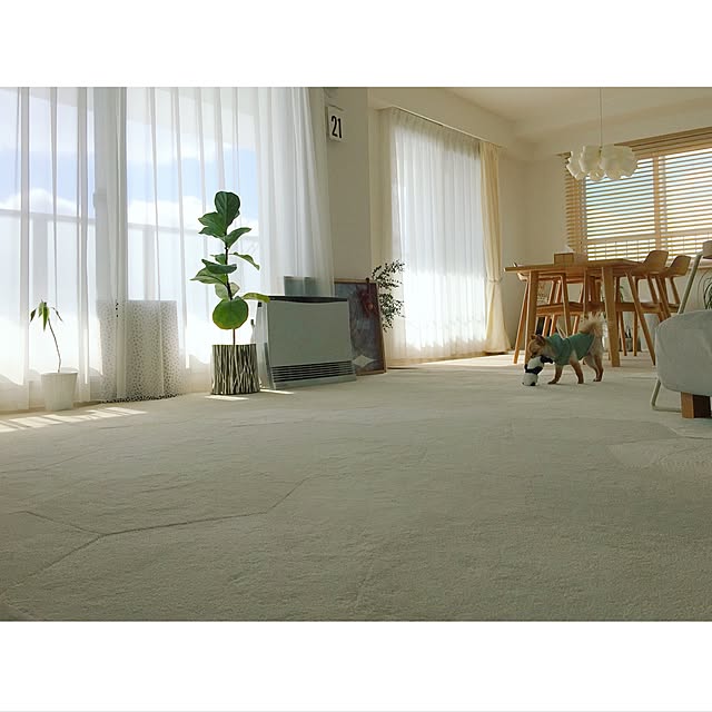 haruhinaさんの実例写真