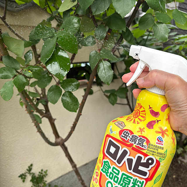 maayaさんの部屋
