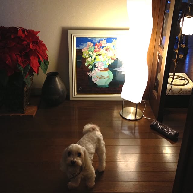 sayabananaさんの実例写真