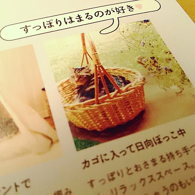 mairin318さんの実例写真