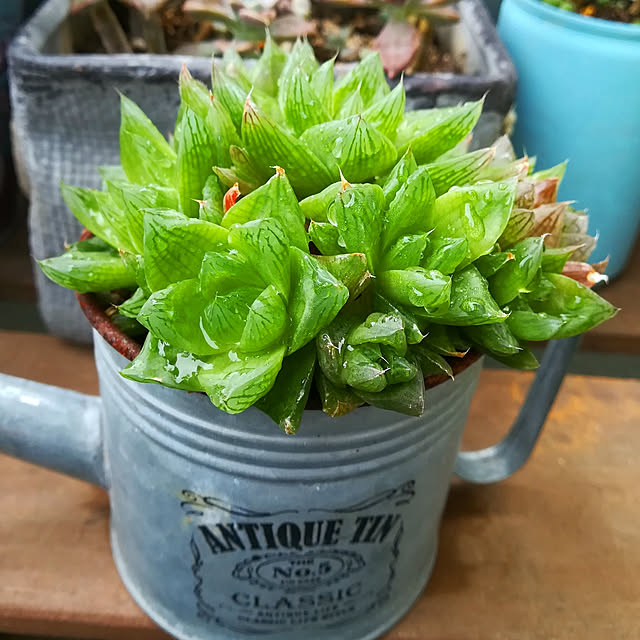 VERANDARJUNさんの実例写真