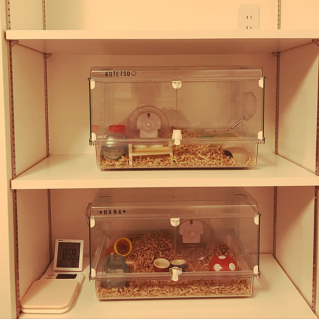 K.Rさんの実例写真