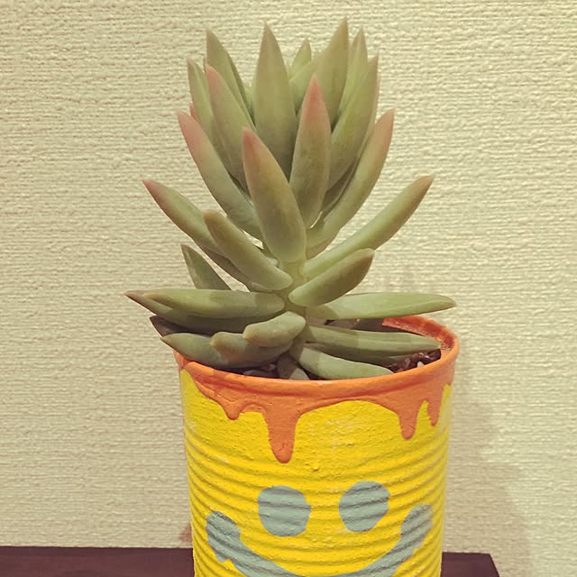 kokimisamaさんの実例写真