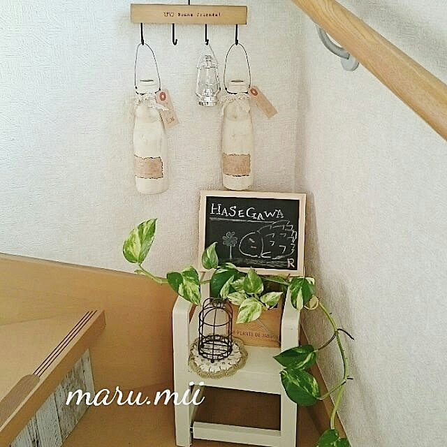 misaさんの実例写真
