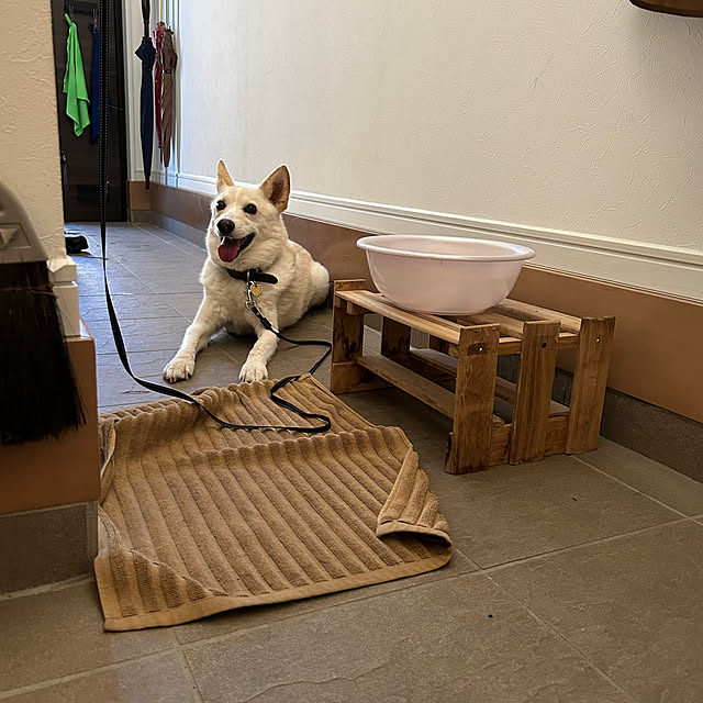 tanboさんの部屋