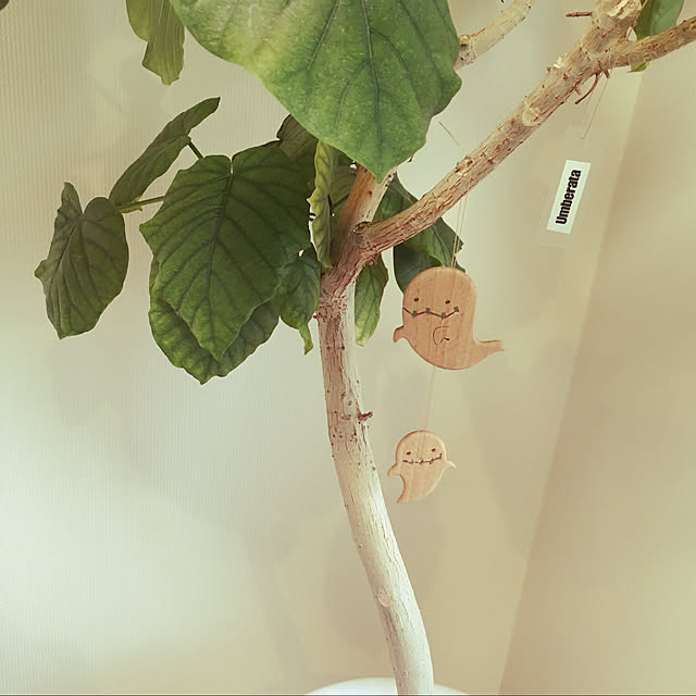 nanakoさんの実例写真