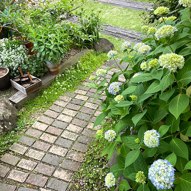 nobikoさんの部屋