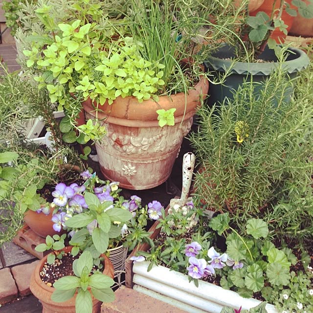 lavender_roseさんの実例写真