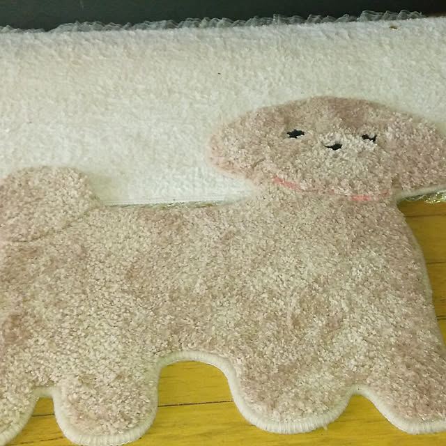 akiさんの実例写真