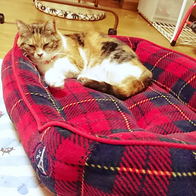 yukieさんの実例写真