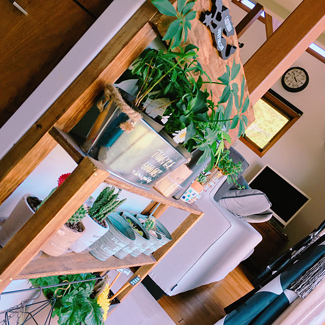 Romeさんの実例写真