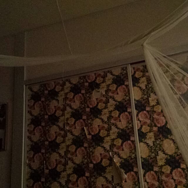cottonさんの部屋