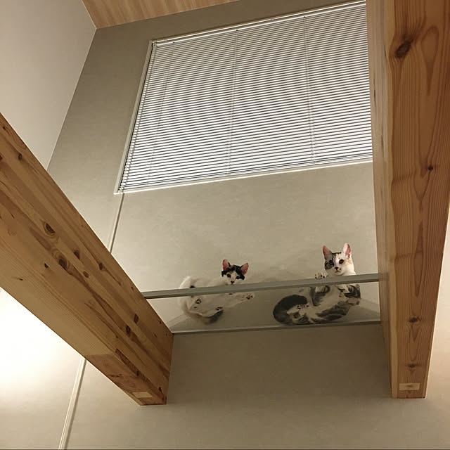 mikkumikuさんの実例写真