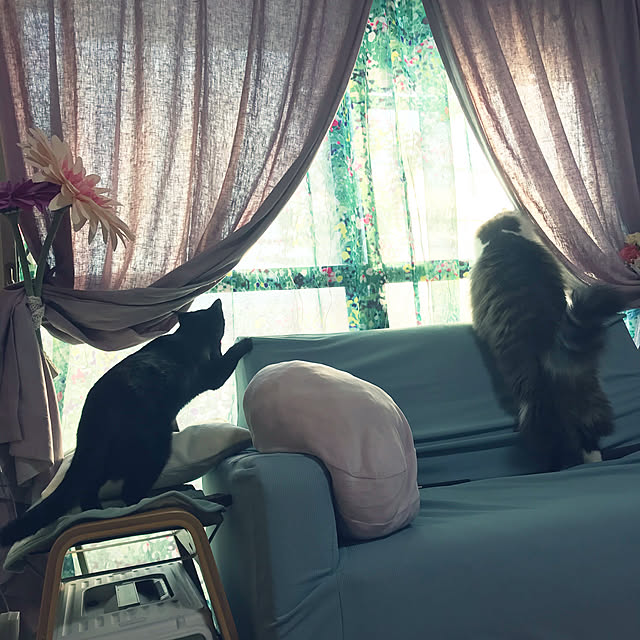 neco_holicさんの実例写真