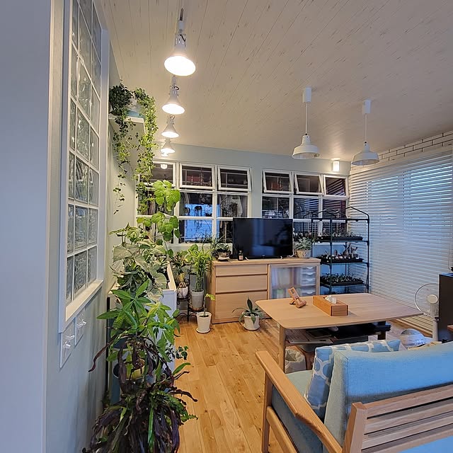 nonbiri_house_さんの部屋