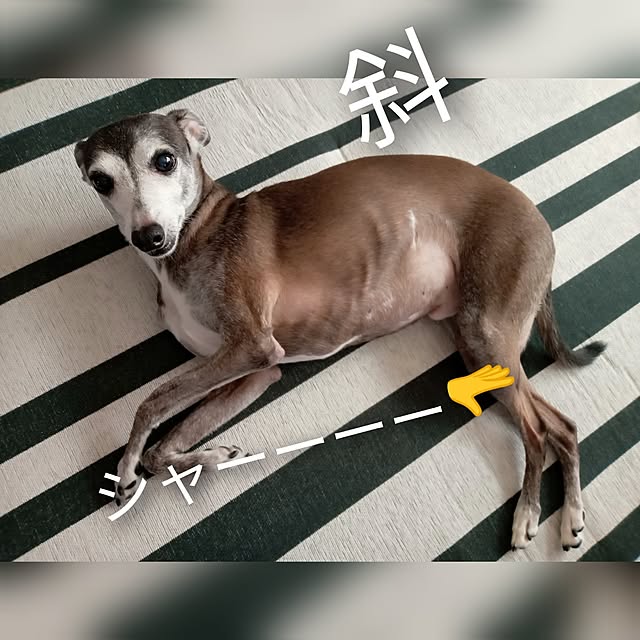 moruさんの部屋