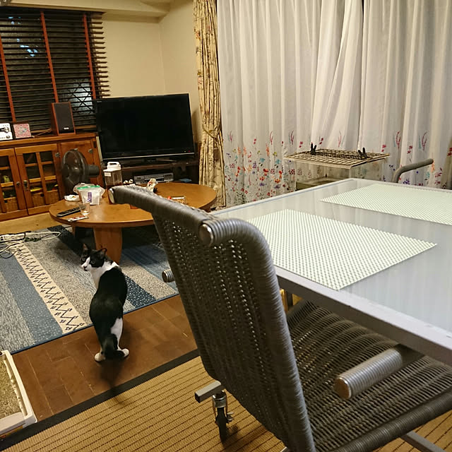 okyosan101さんの実例写真