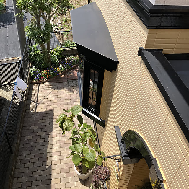momoさんの実例写真
