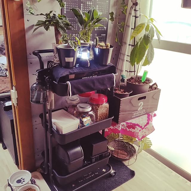 runaさんの実例写真