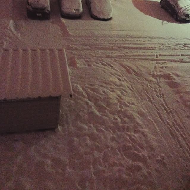 YUさんの実例写真
